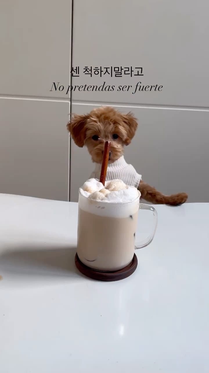 Post 10 by Corea en Corto on Instagram (video)
