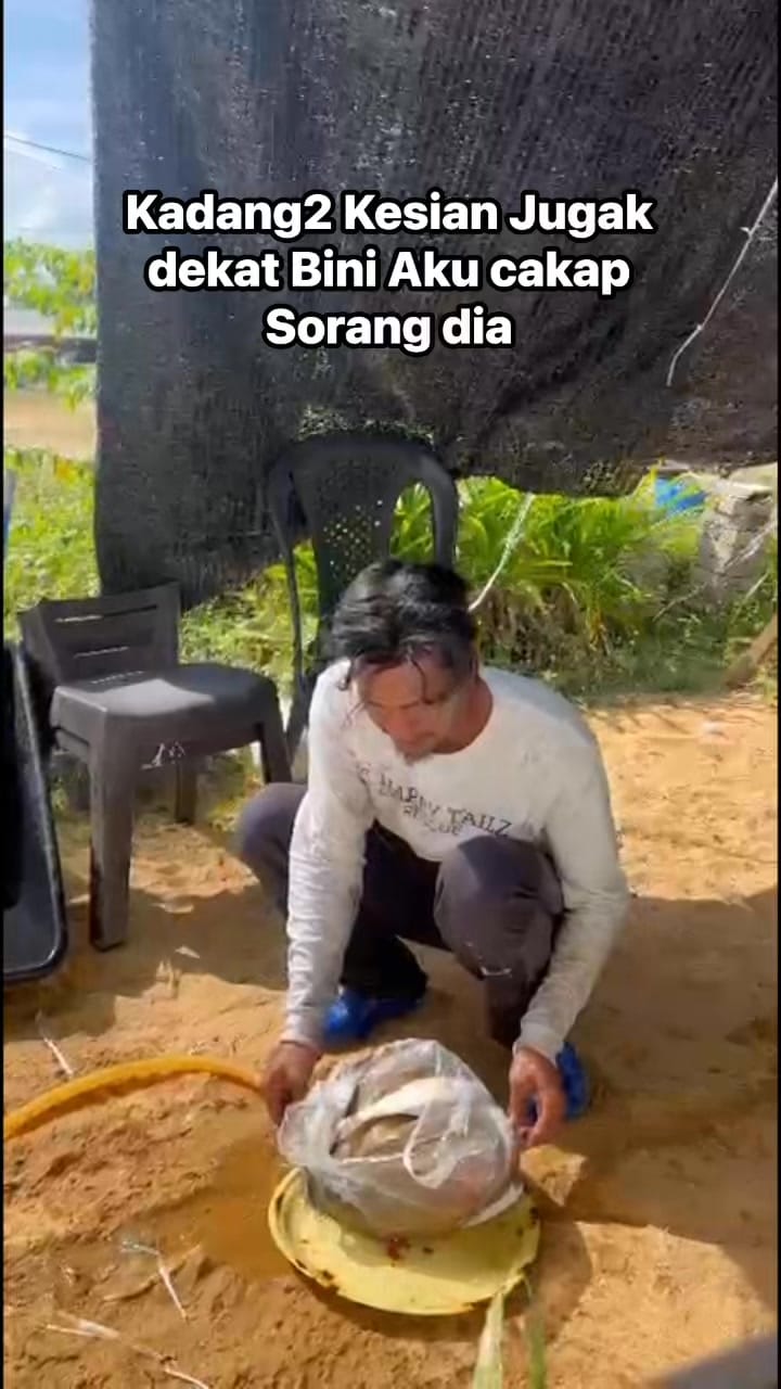 Post 4 by syazuan Full Sythetic on Instagram (video)