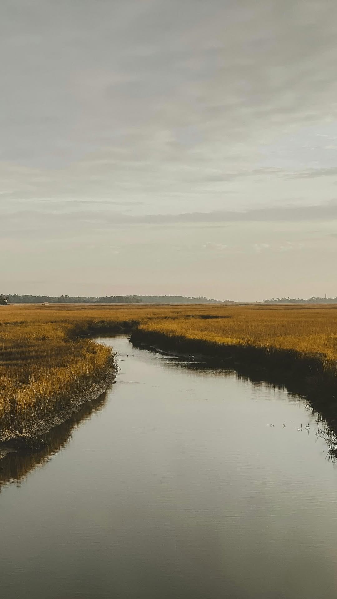 Post 9 by Two Cumberland on Instagram (video)
