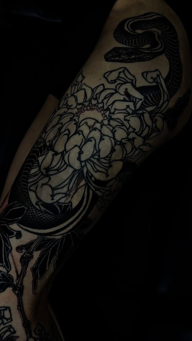 Post 7 by Yu jinpil on Instagram (video)