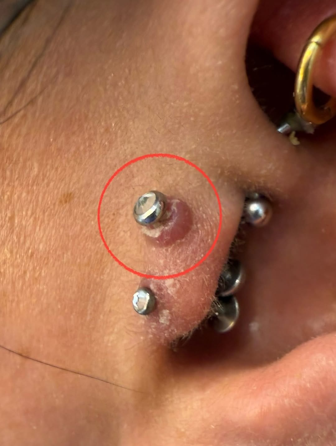 Post 3 by 부산 이코 피어싱 ico piercing on Instagram (carousel)