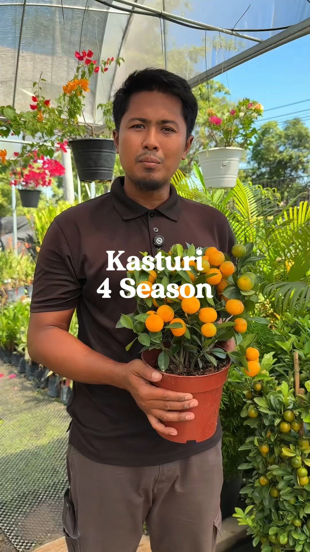 Post 6 by MaiKebun | Anak Pokok RM1 on Instagram (video)