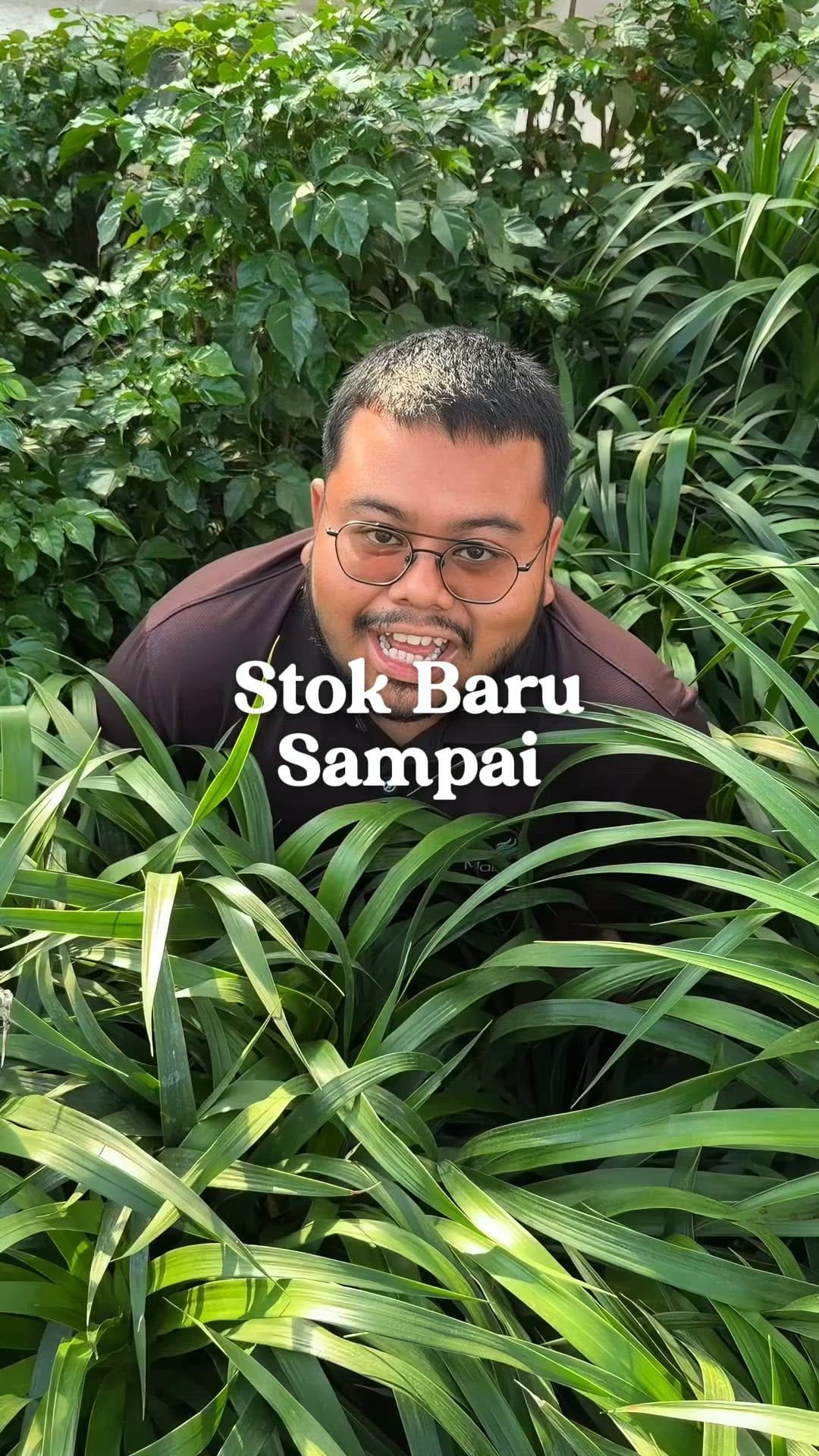 Post 7 by MaiKebun | Anak Pokok RM1 on Instagram (video)