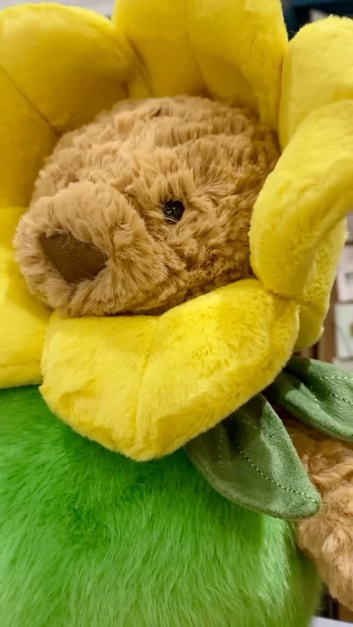 Post 3 by Green Pheasant Gifts & Home Interiors on Instagram (video)