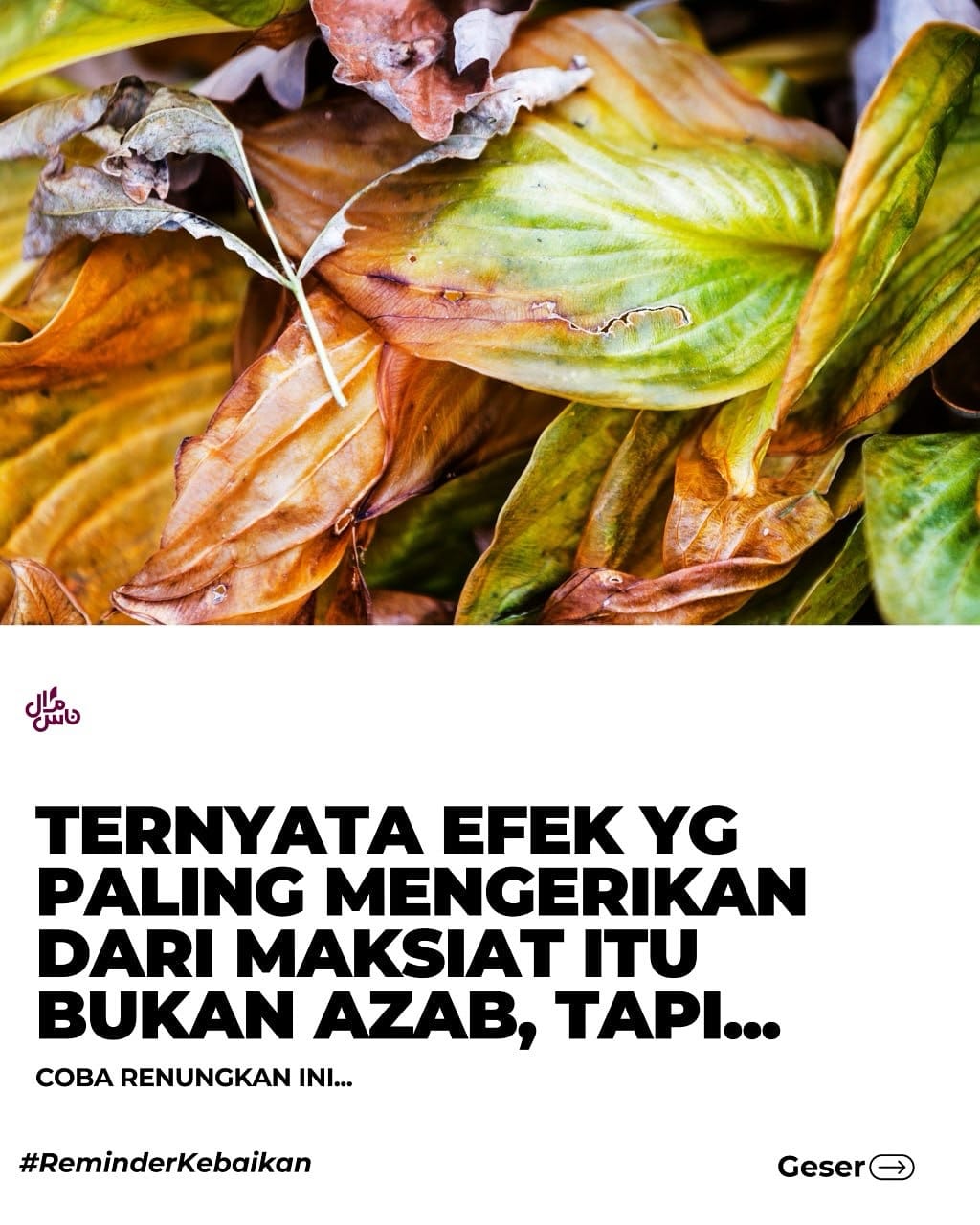 Post 10 by Gerai Salman Toko Oleh-Oleh Haji Umroh on Instagram (carousel)