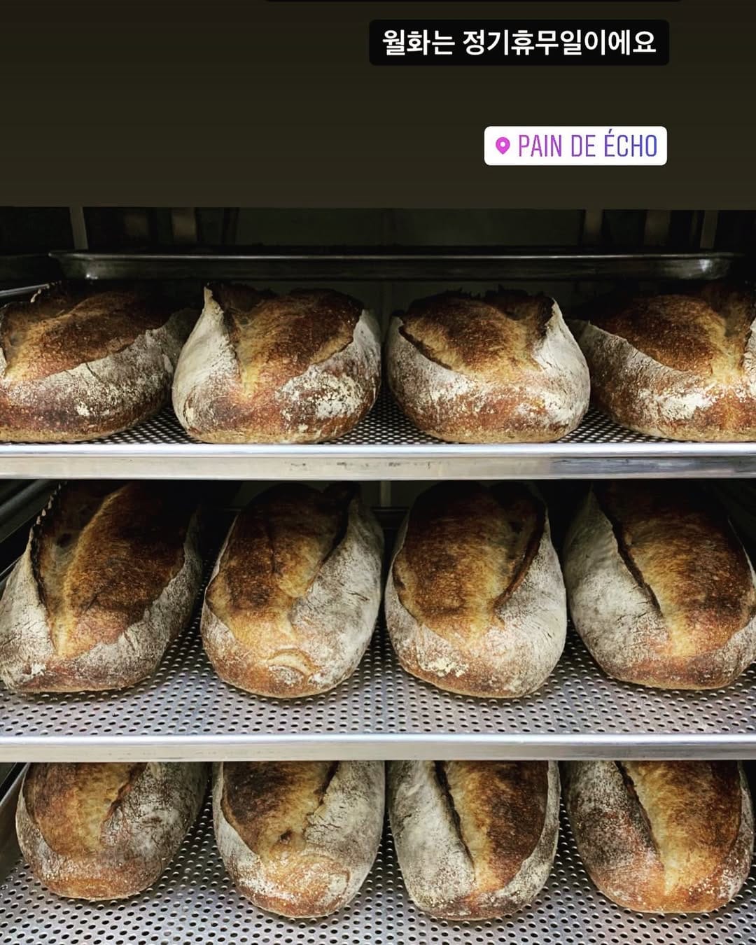 Post 9 by Pain de Echo on Instagram (image)