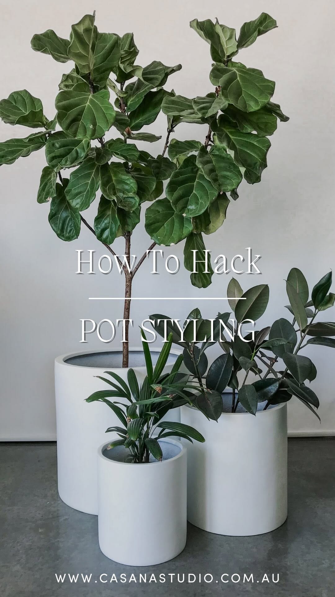 Post 9 by Casana Studio on Instagram (video)