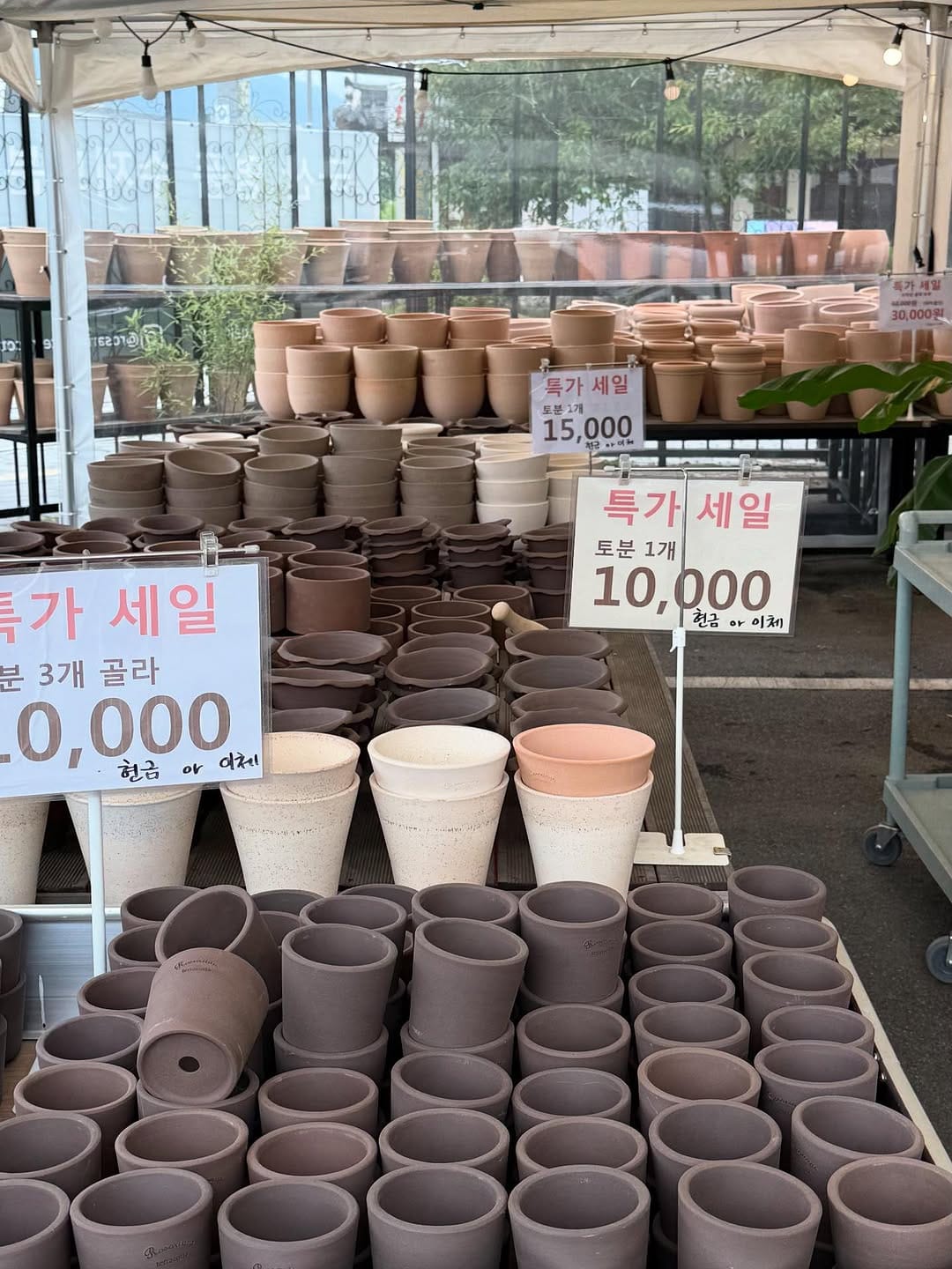 Post 8 by 로자리안 토분 on Instagram (carousel)
