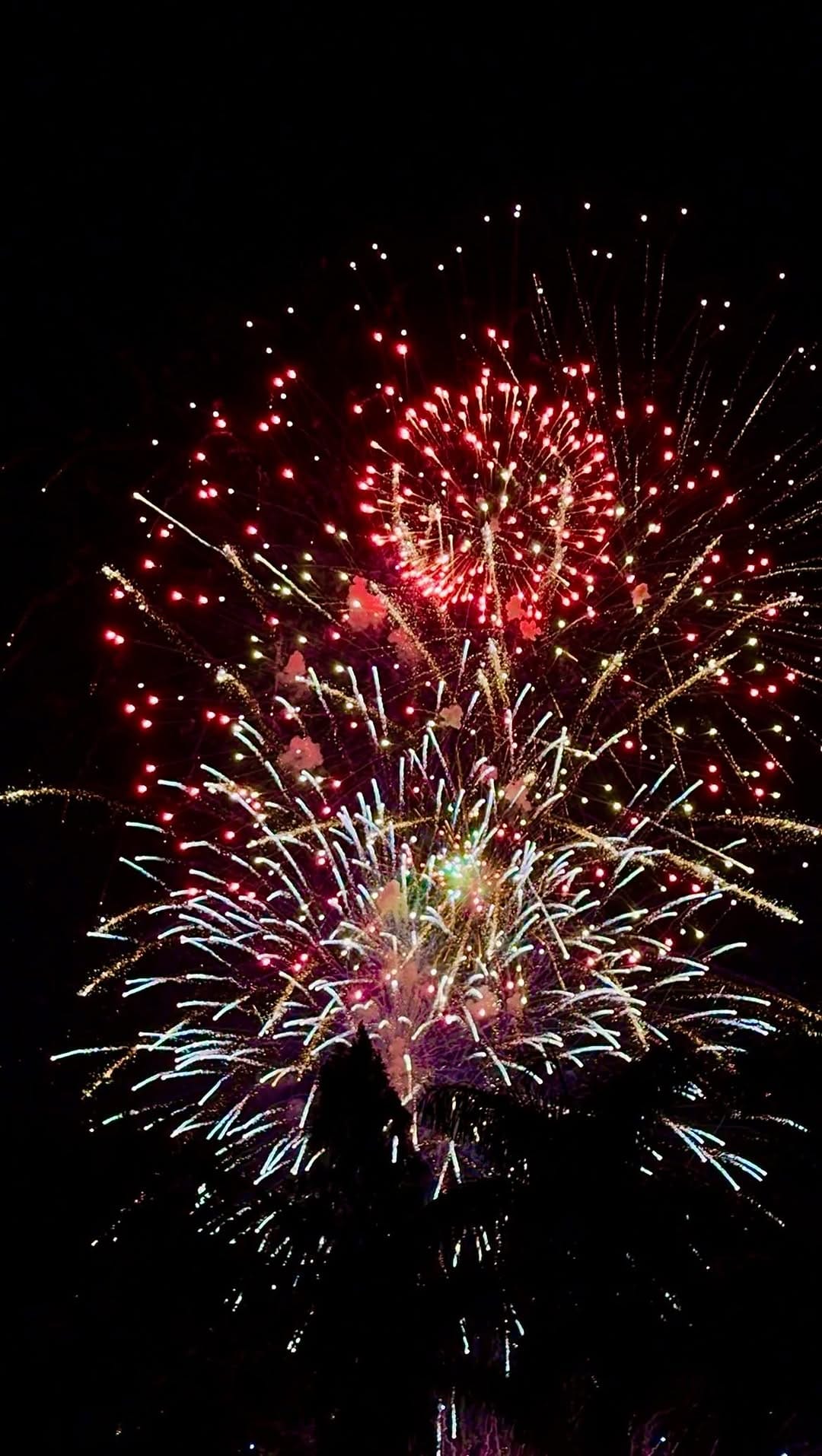 Post 5 by Luis Caballero on Instagram (video)