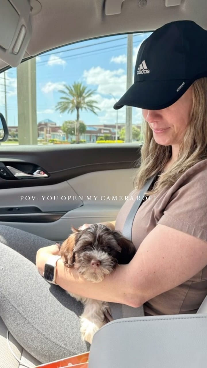 Post 7 by Ashley Lynn on Instagram (video)