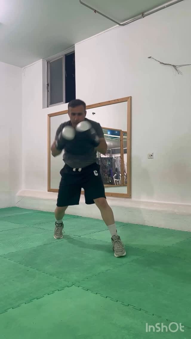 Post 8 by Hamidreza Adib on Instagram (video)