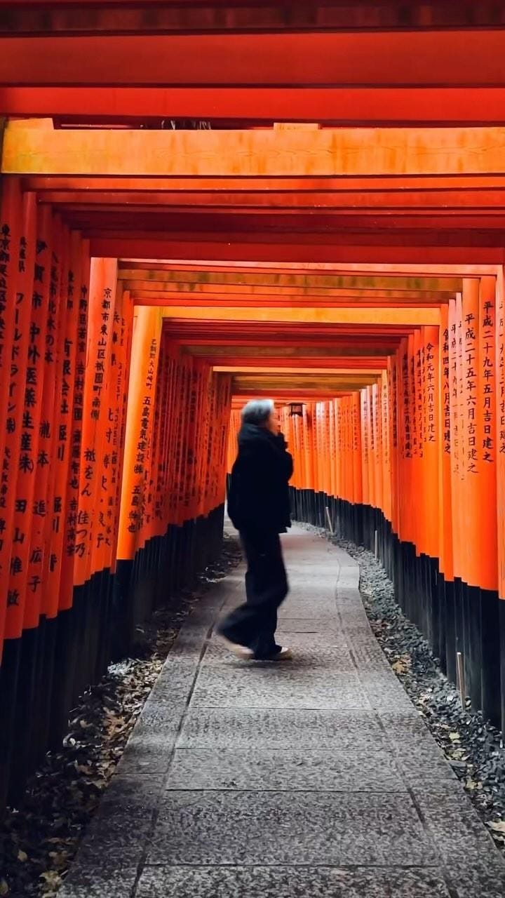 Post 10 by Young from Korea | travel & fashion on Instagram (video)