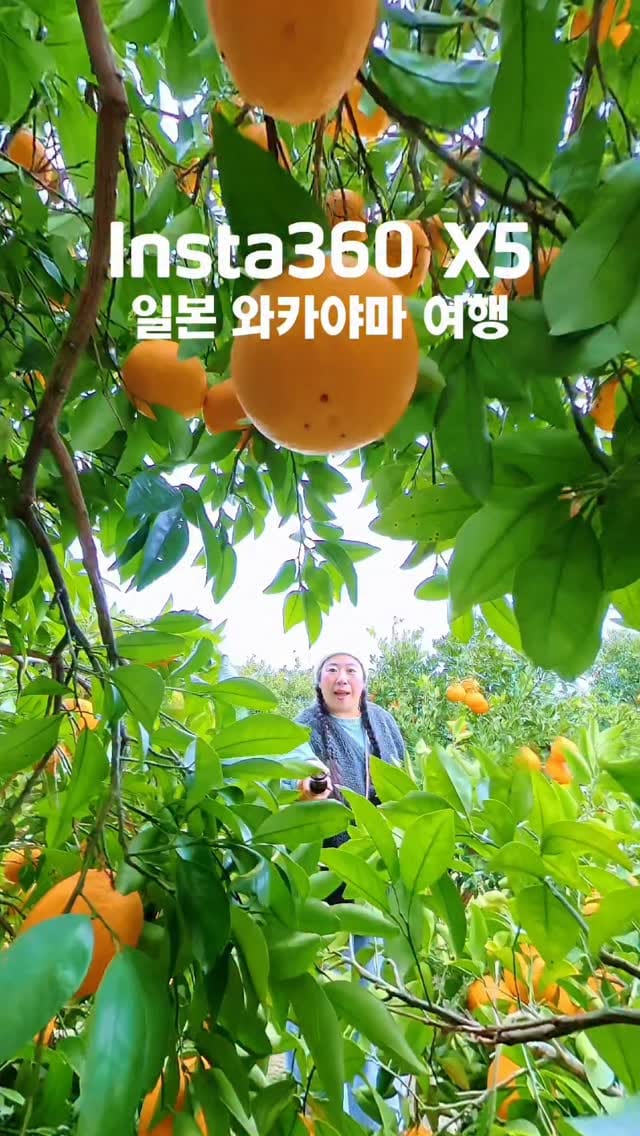 Post 7 by 루비언니 on Instagram (video)