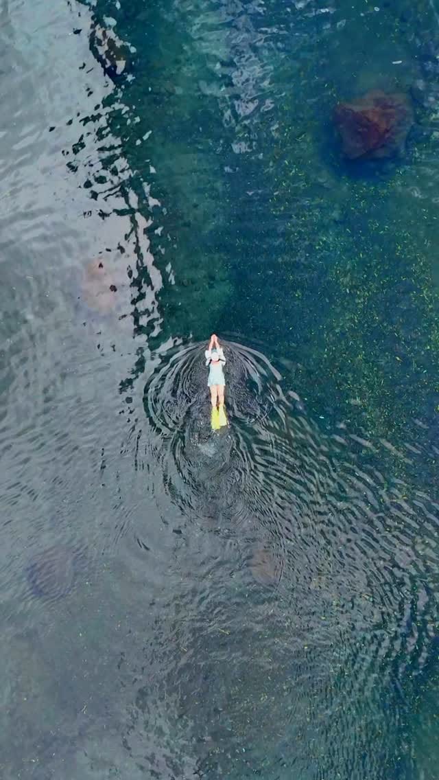 Post 8 by 일상 여행가, 지은(Jieun) / 여행 | 팝업 | 카페 | 숙소 | 전시 on Instagram (video)
