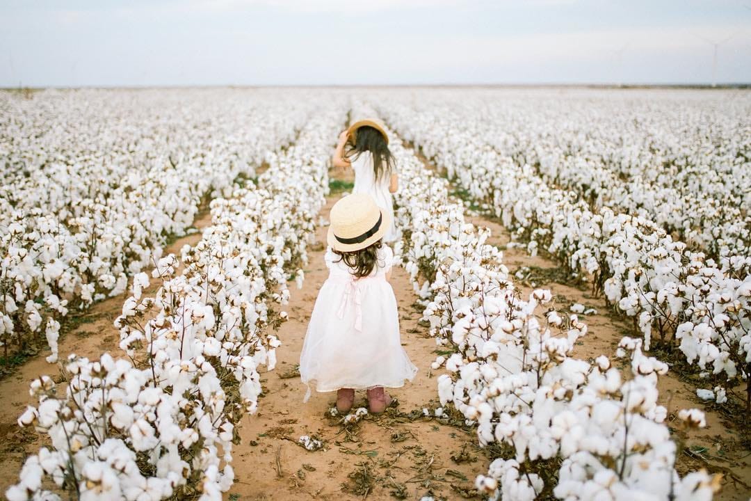Post 10 by Princess - International Photographer on Instagram (image)