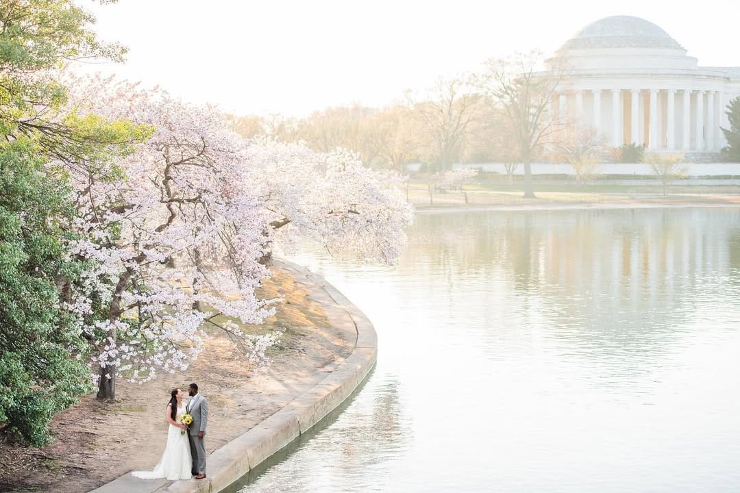 Post 5 by Princess - International Photographer on Instagram (image)