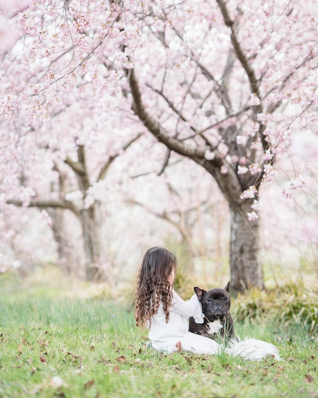 Post 6 by Princess - International Photographer on Instagram (carousel)