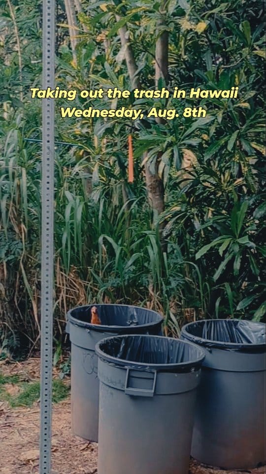 Post 5 by Stephanie & Ryan 📷 Oahu on Instagram (video)