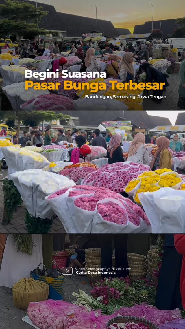Post 4 by Cerita Desa Indonesia on Instagram (video)