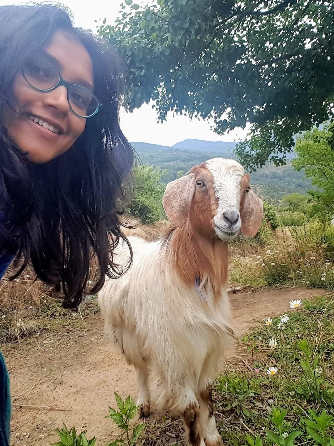 Post 4 by Shruti A Bapna on Instagram (carousel)