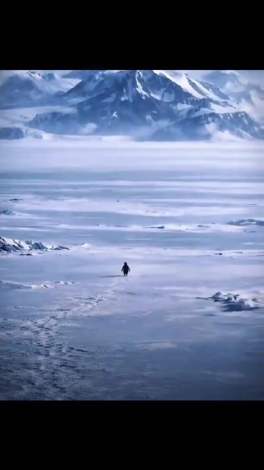 Post 2 by Hasanz Thenics on Instagram (video)