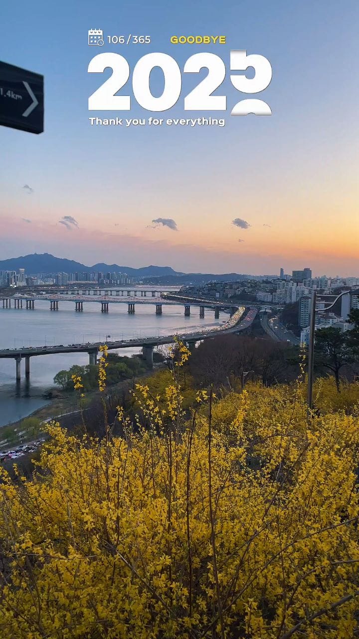 Post 5 by 동네탐정멜리 on Instagram (video)