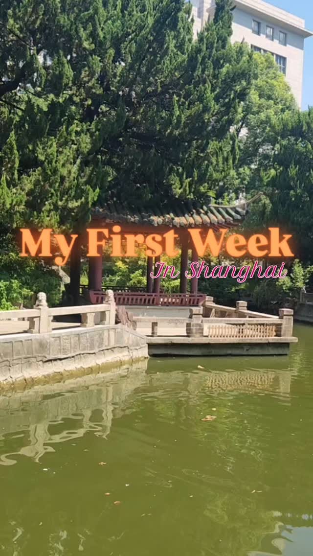 Post 8 by Jessica | expat in Asia content creator on Instagram (video)