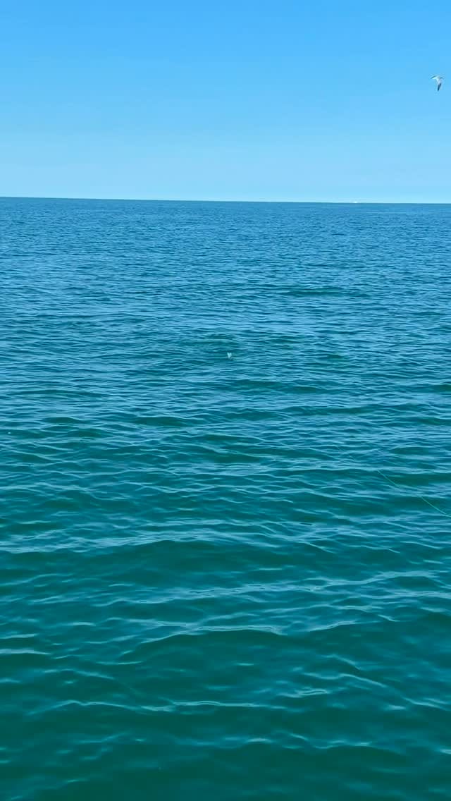 Post 5 by Justin Rea on Instagram (video)