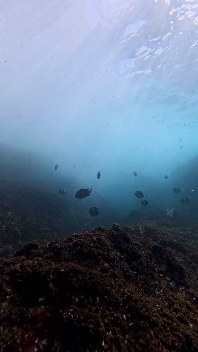 Post 9 by Justin Rea on Instagram (video)