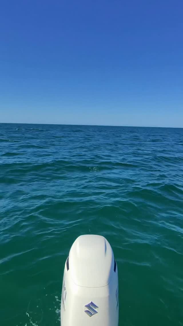 Post 4 by Justin Rea on Instagram (video)
