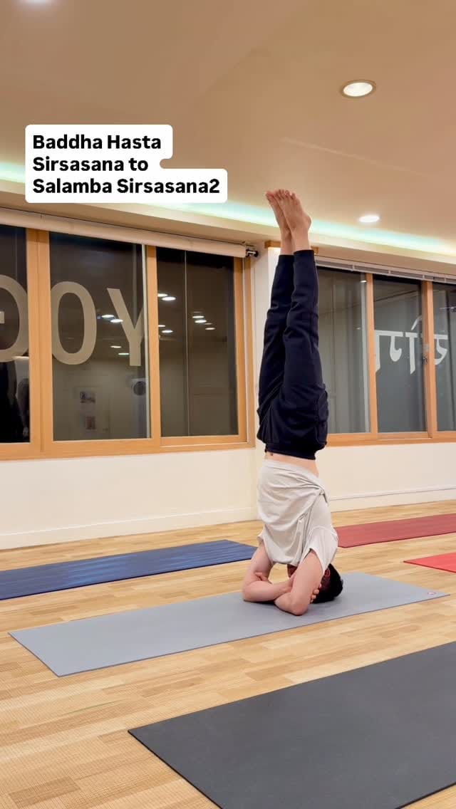 Post 5 by 안국 요가문화원 정승훈 Yoga Culture Ashram 하타요가 on Instagram (video)