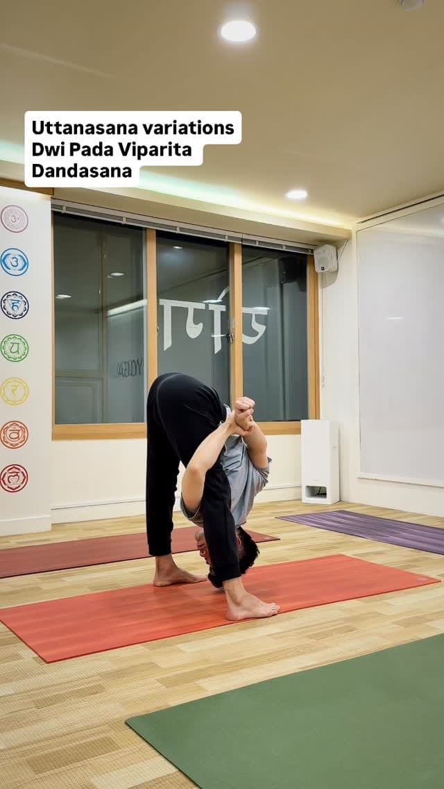 Post 1 by 안국 요가문화원 정승훈 Yoga Culture Ashram 하타요가 on Instagram (video)