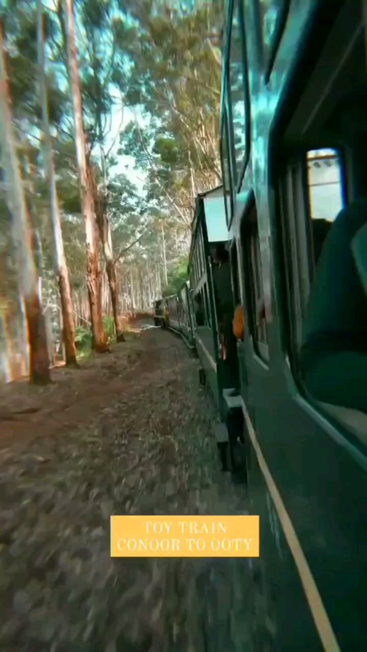 Post 5 by Trip Bango on Instagram (video)