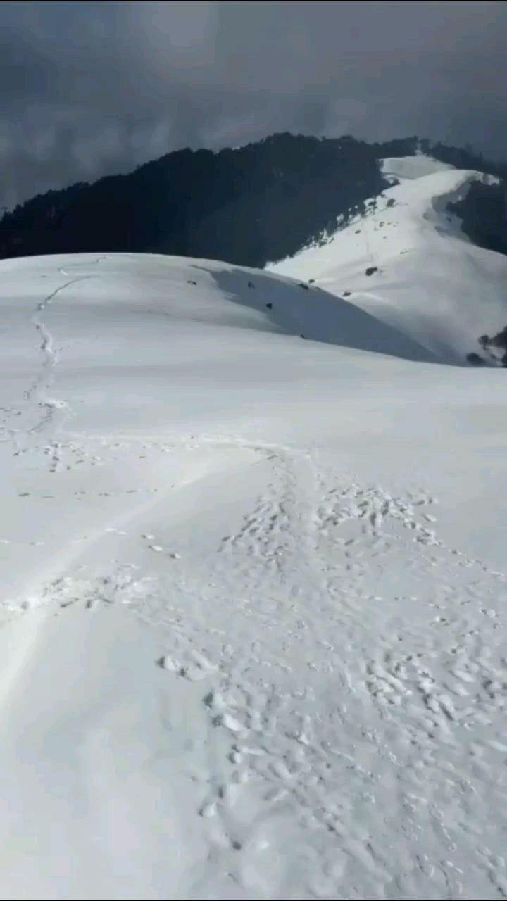 Post 10 by Trip Bango on Instagram (video)