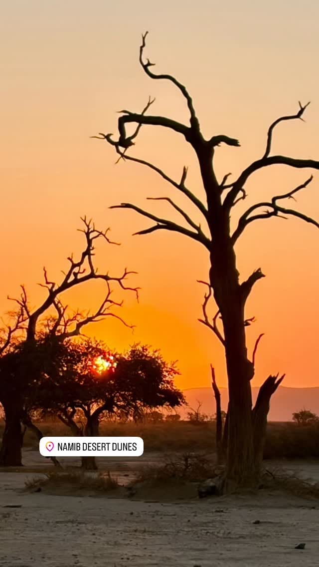 Post 2 by Trip Tips on Instagram (video)