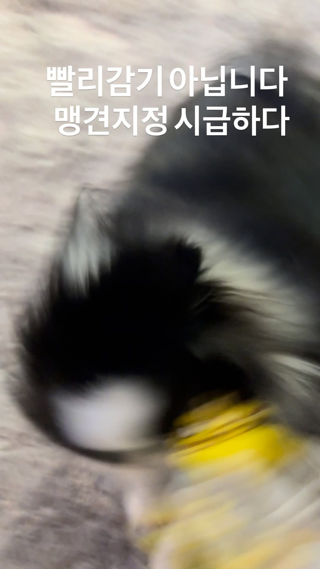Post 1 by 씸미✨놀자🫶🏻 on Instagram (video)