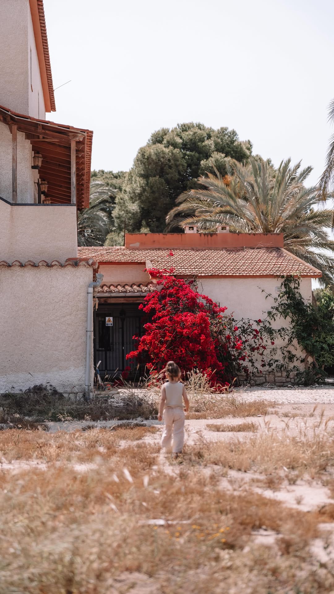 Post 3 by ✨ Karin Comes ✨ on Instagram (video)