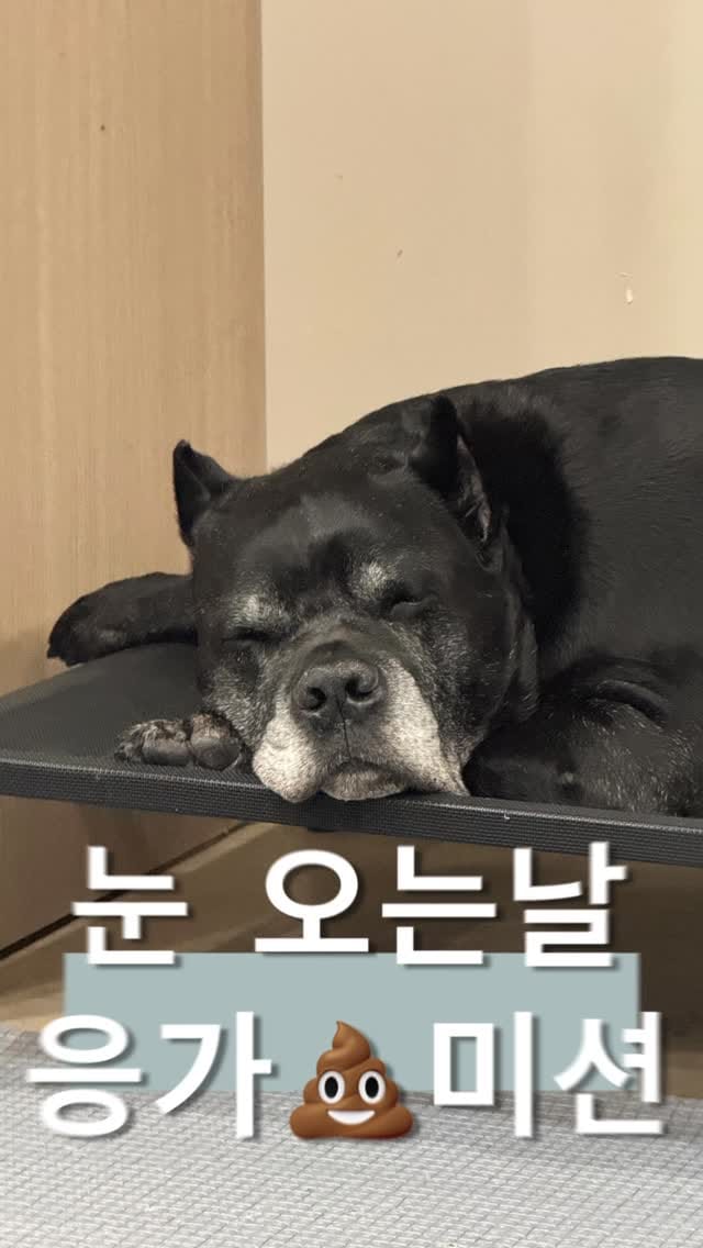Post 2 by 천안아산역 헬스장 머슬에이치짐 대표 김호현 on Instagram (video)