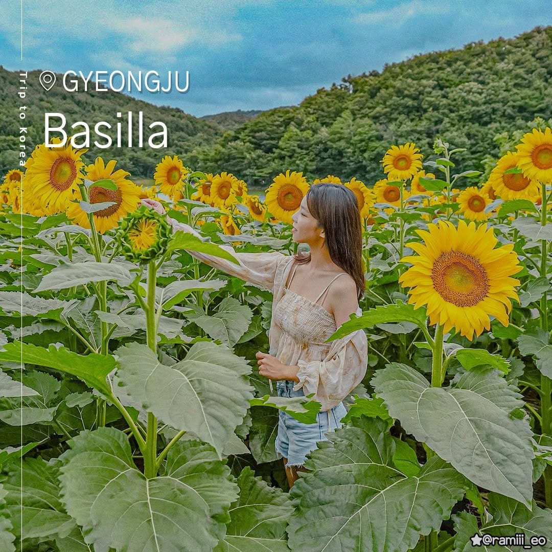 Post 5 by 트립코리아[trip_southkorea] on Instagram (carousel)
