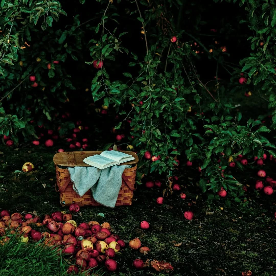 Post 9 by Jennie Marshall Show on Instagram (image)