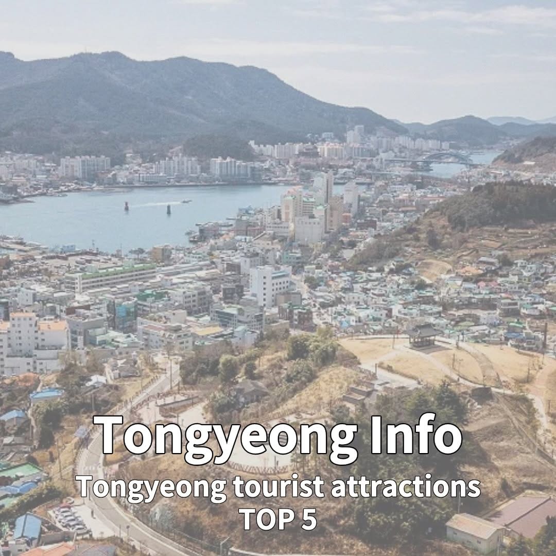 Post 5 by No.1 Busan Travel Platform on Instagram (carousel)