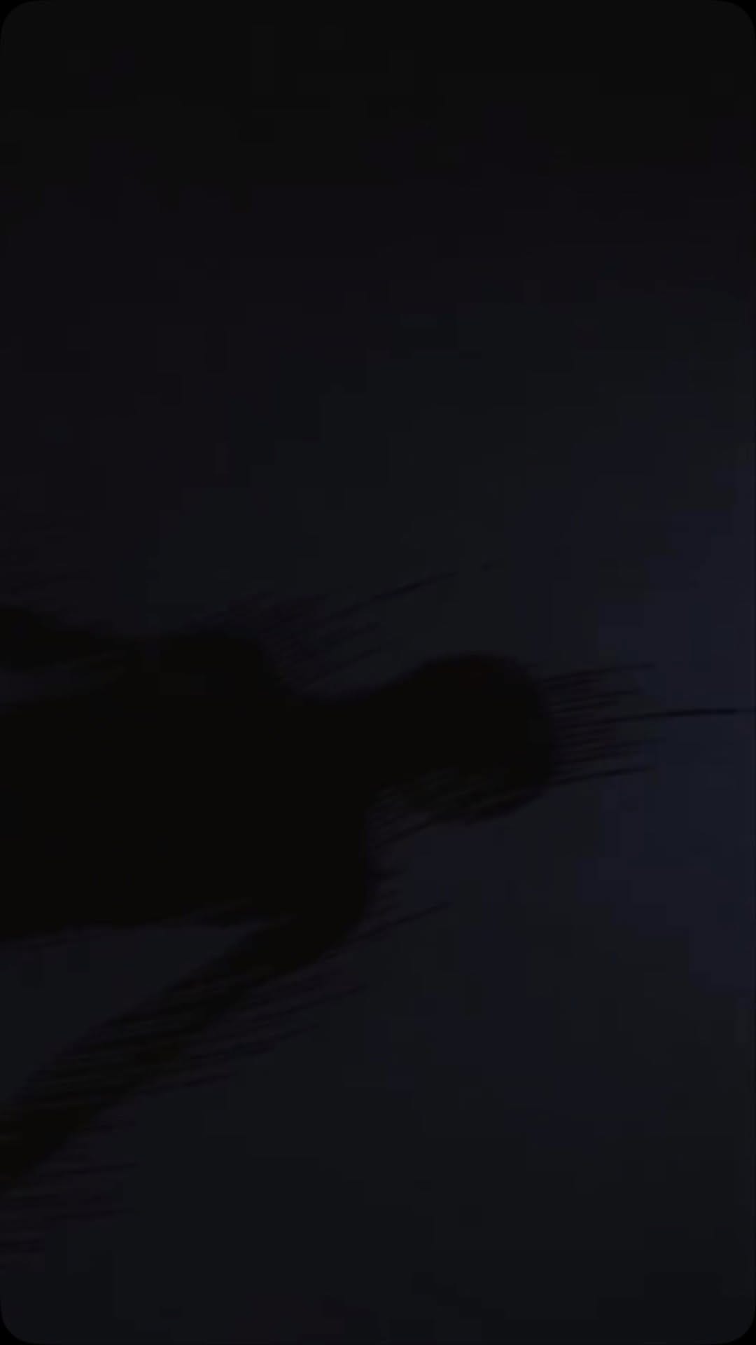 Post 2 by Philip Parchment on Instagram (video)