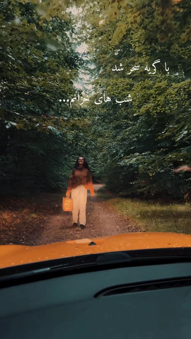 Post 1 by Faranak Mohammadi on Instagram (video)