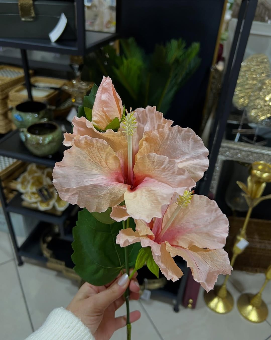 Post 9 by ⚜️ Hln’s Home ⚜️ on Instagram (carousel)