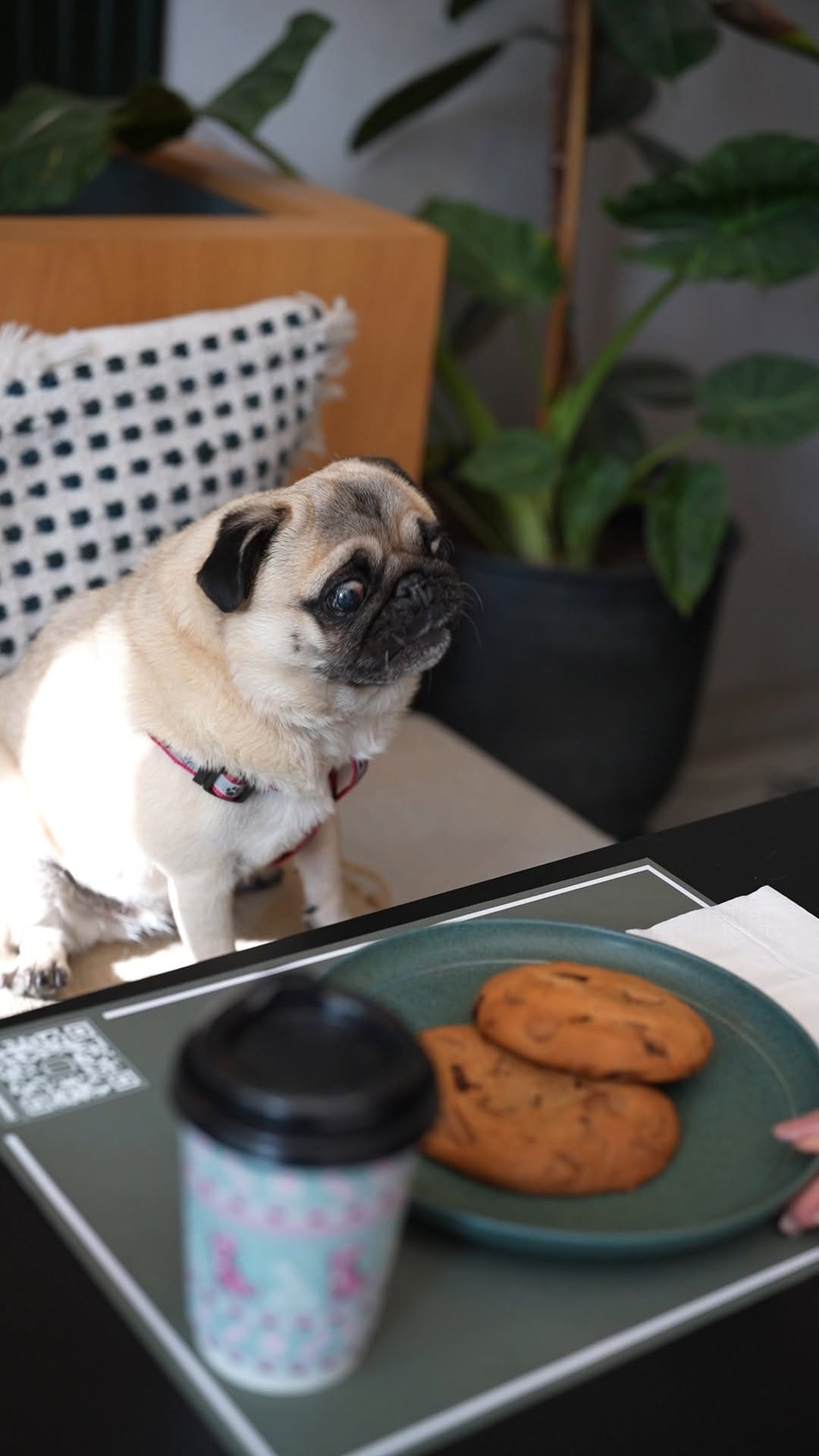Post 6 by Bean Bar on Instagram (video)