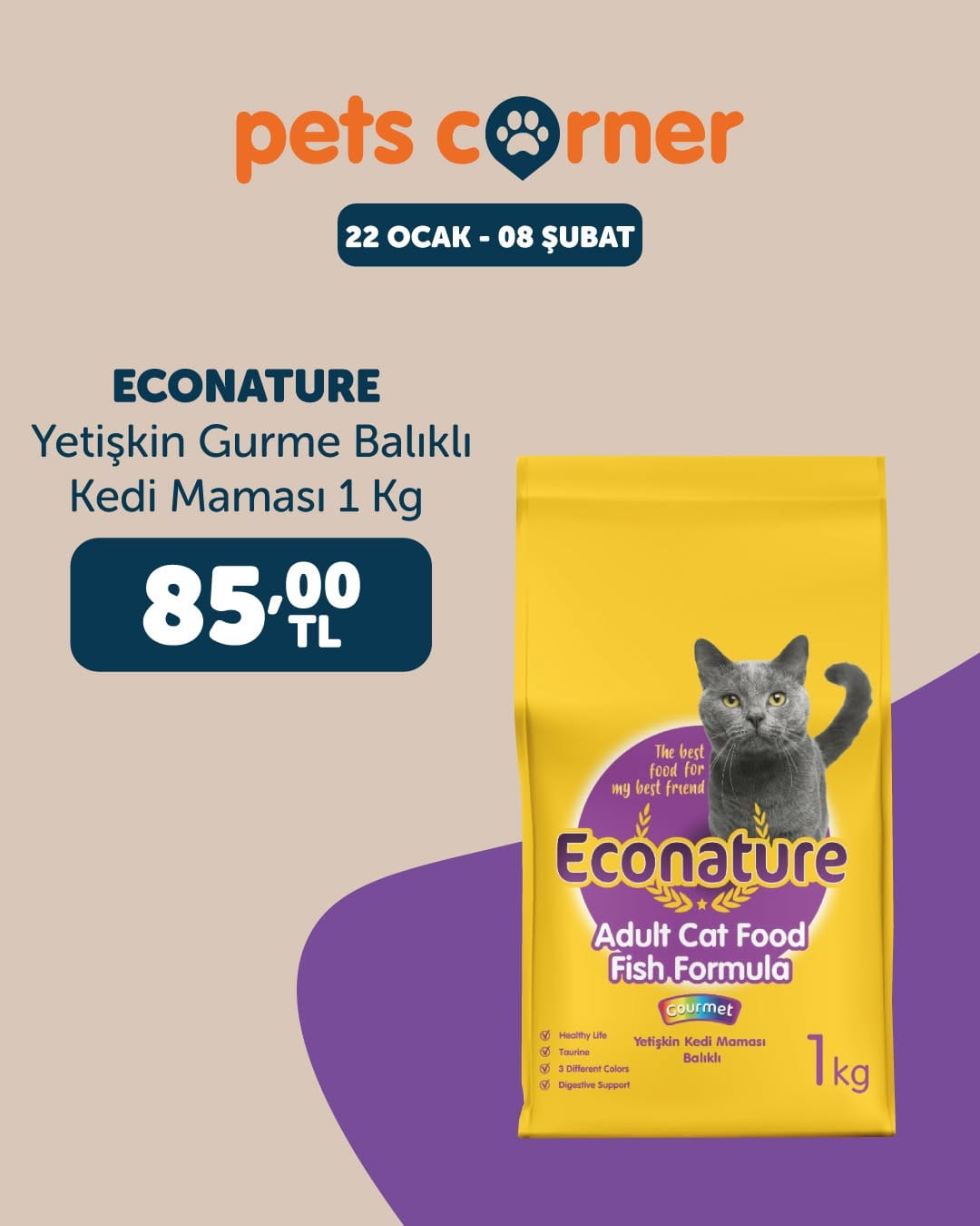 Post 10 by Pets Corner on Instagram (image)