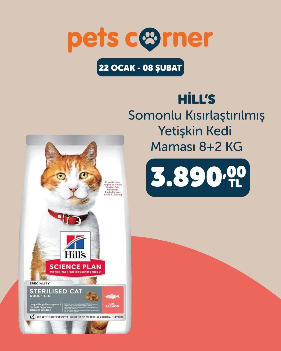 Post 6 by Pets Corner on Instagram (image)