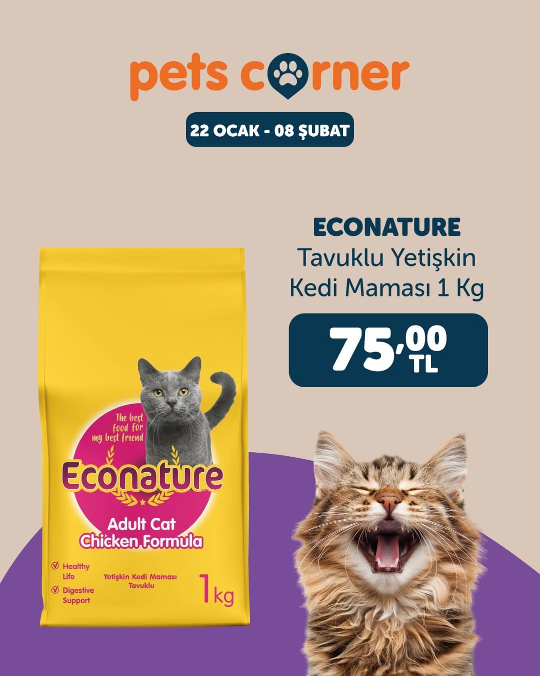 Post 9 by Pets Corner on Instagram (image)