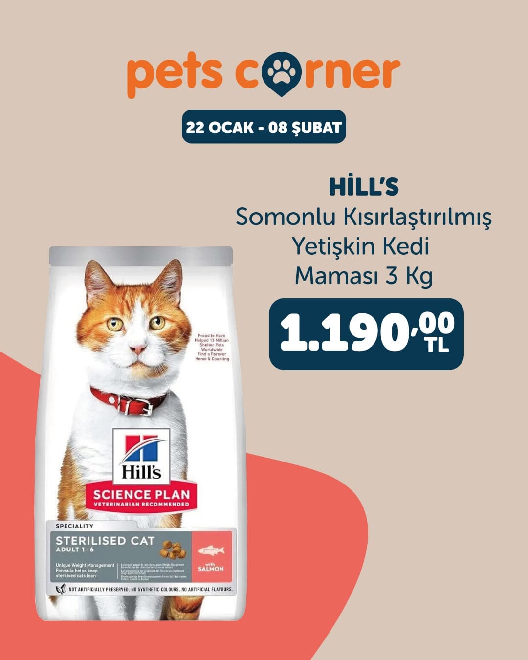 Post 5 by Pets Corner on Instagram (image)