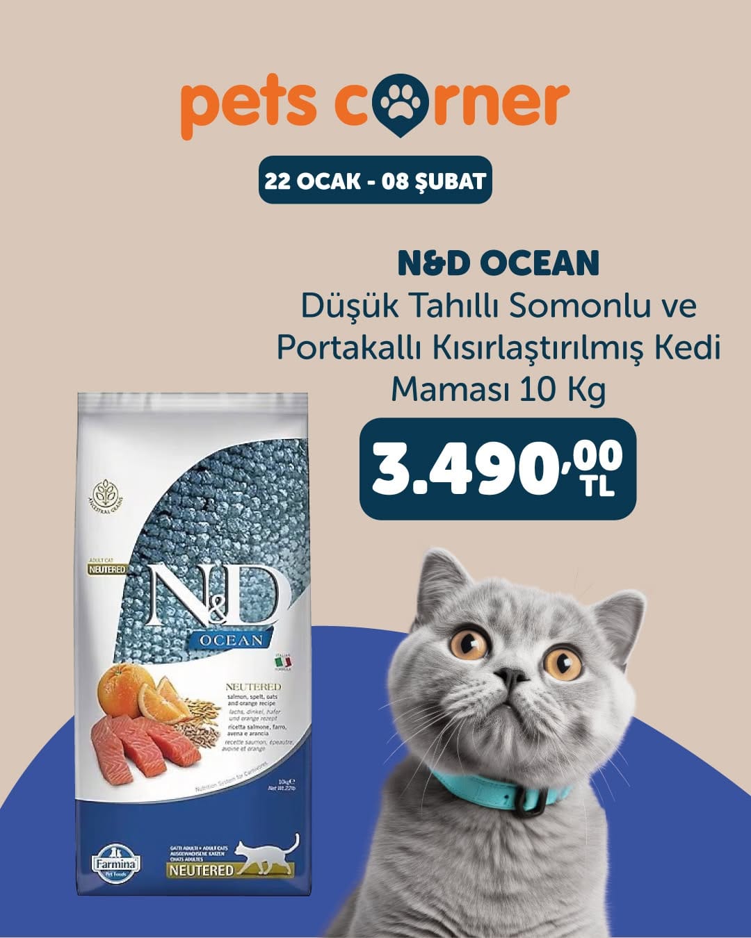 Post 3 by Pets Corner on Instagram (image)